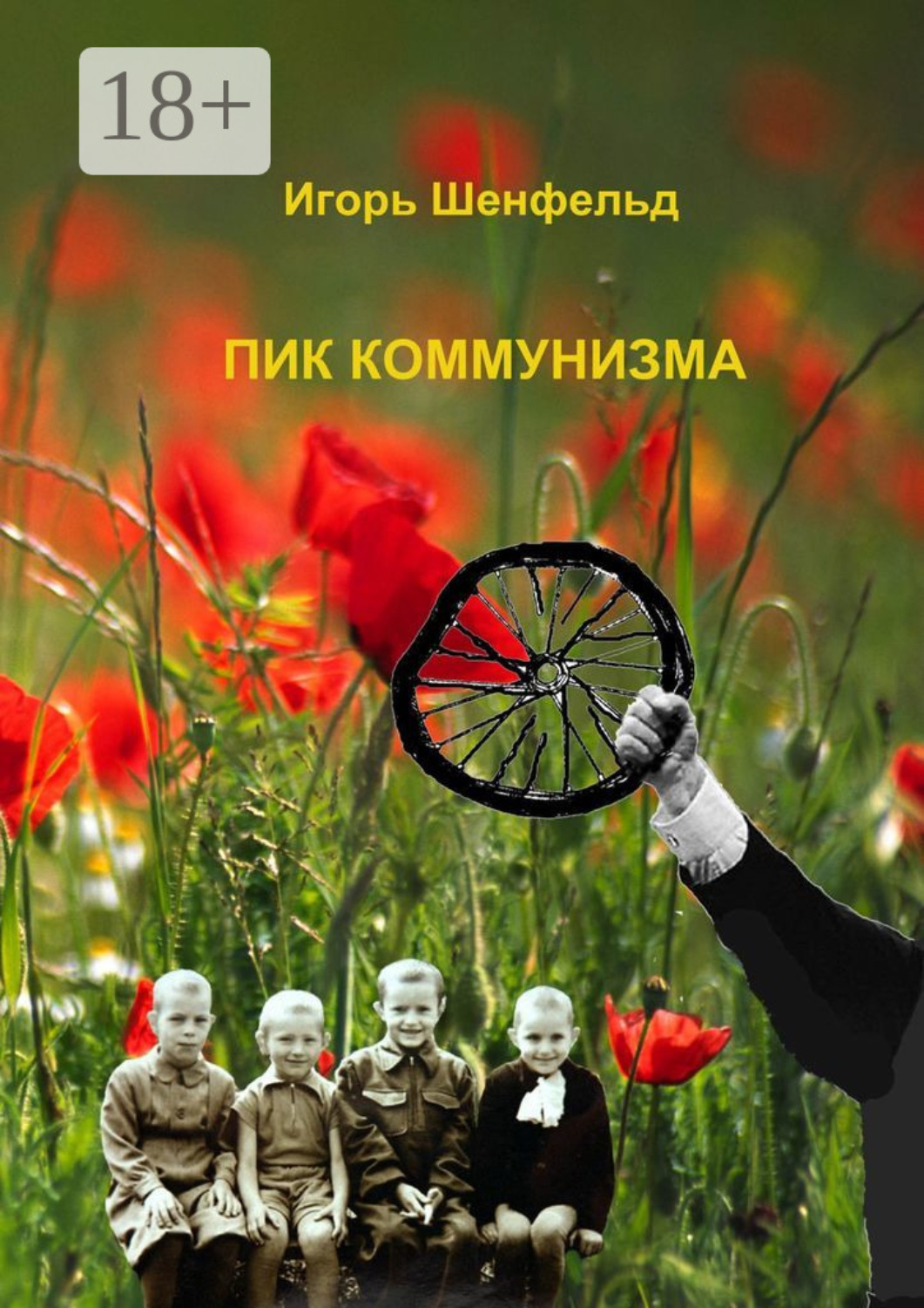 Обложка книги «Пик коммунизма»