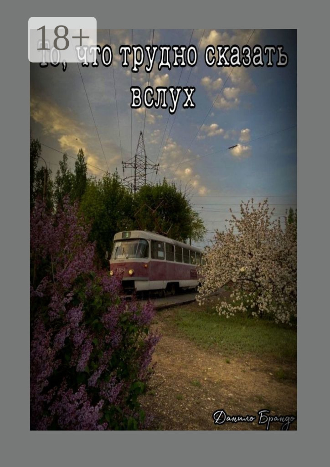 Обложка книги «То, что трудно сказать вслух»