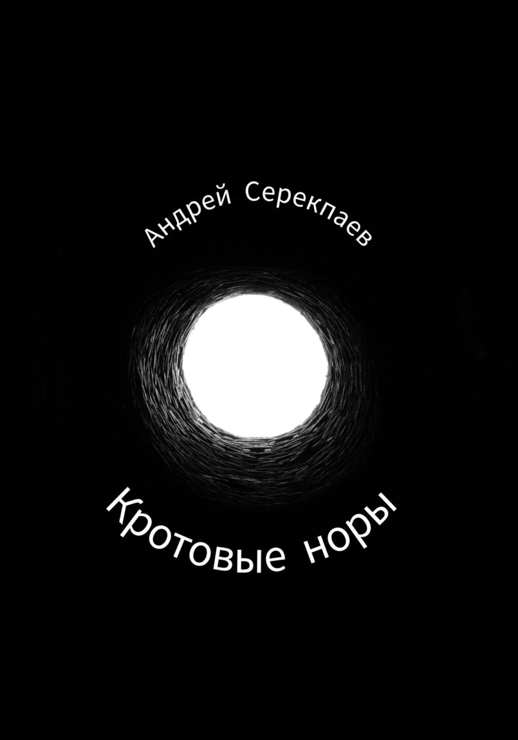 Обложка книги «Кротовые норы»