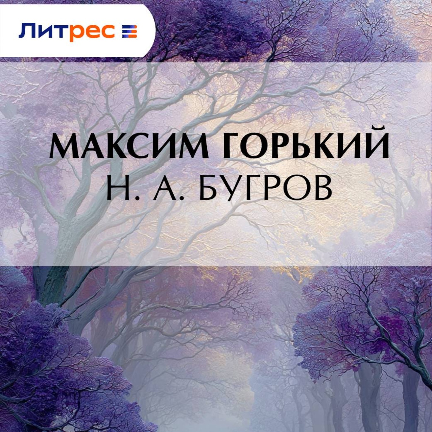 Обложка книги «Н. А. Бугров»