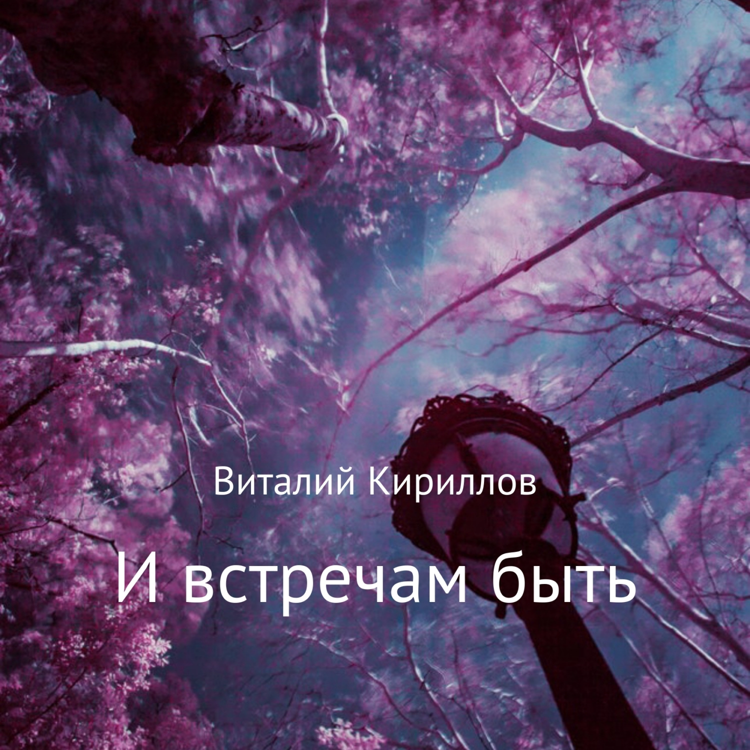 Обложка книги «И встречам быть. Сборник рассказов»