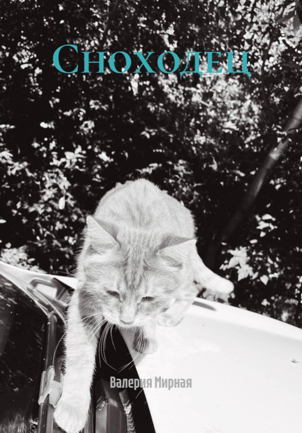 Обложка книги «Сноходец»
