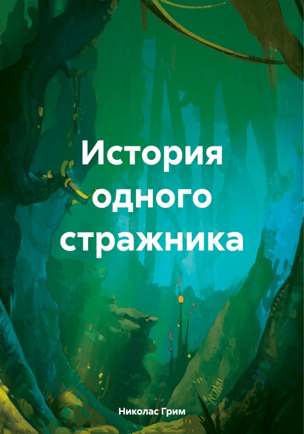 Обложка книги «История одного стражника»