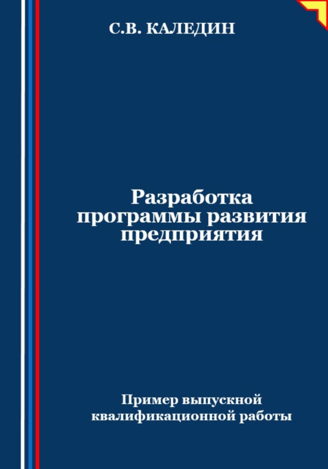 Обложка книги «Разработка программы развития предприятия. Пример выпускной квалификационной работы»