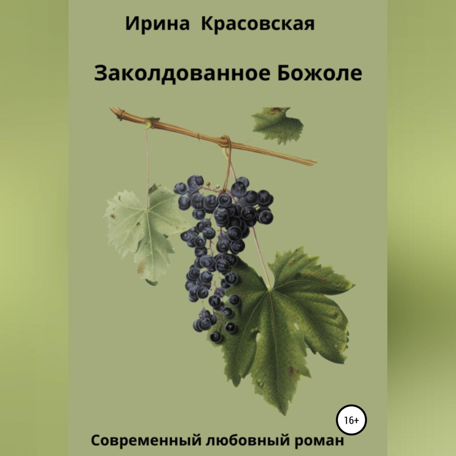 Обложка книги «Заколдованное Божоле»