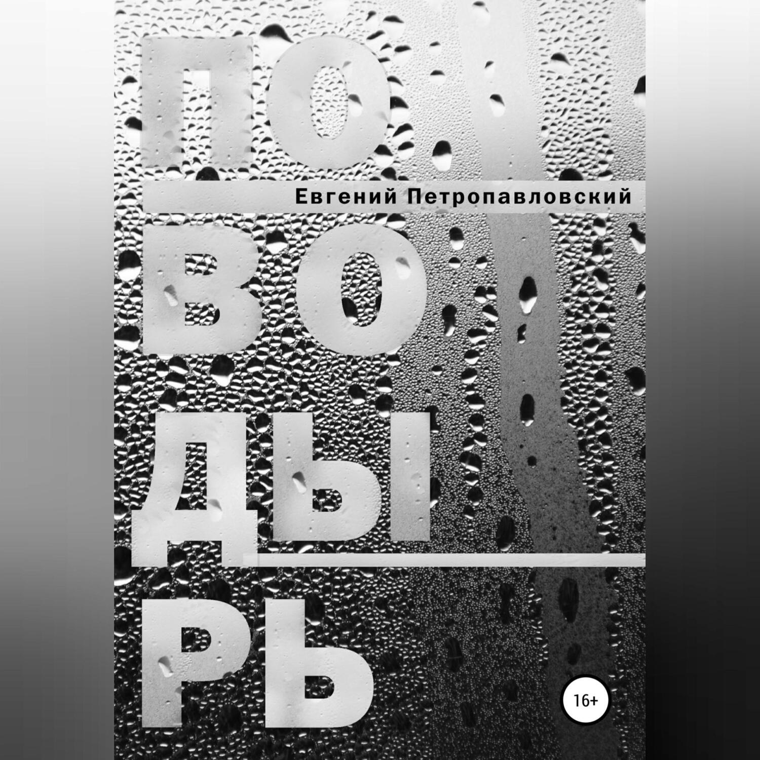 Обложка книги «Поводырь»