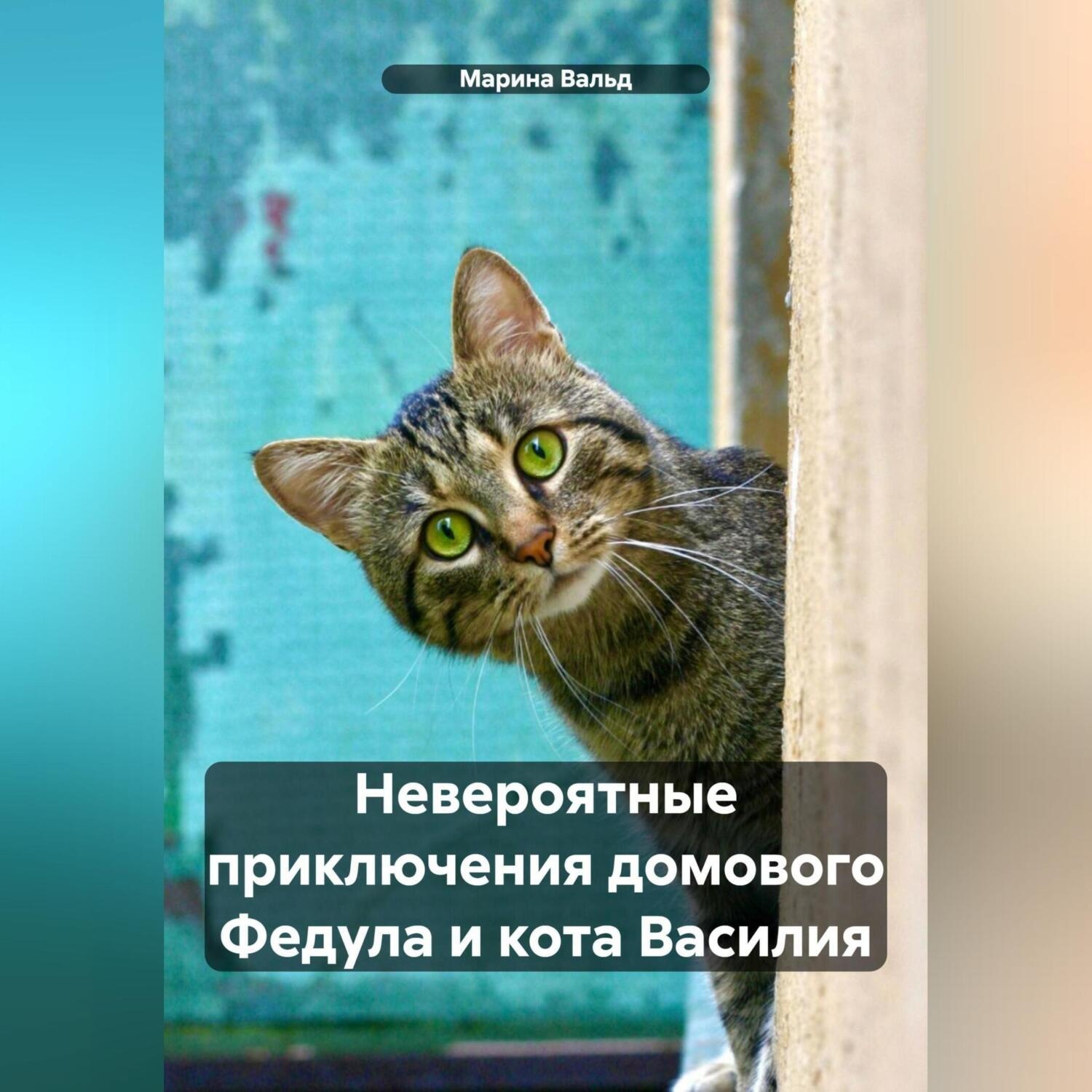Обложка книги «Невероятные приключения домового Федула и кота Василия»
