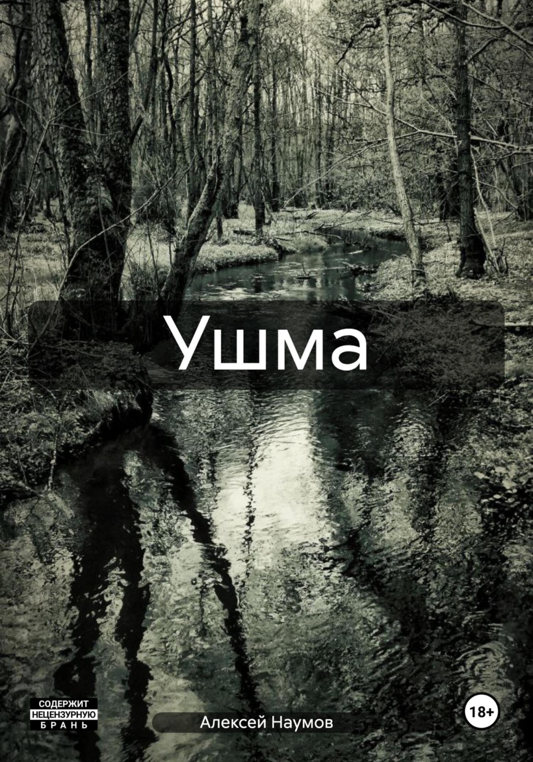 Обложка книги «Ушма»
