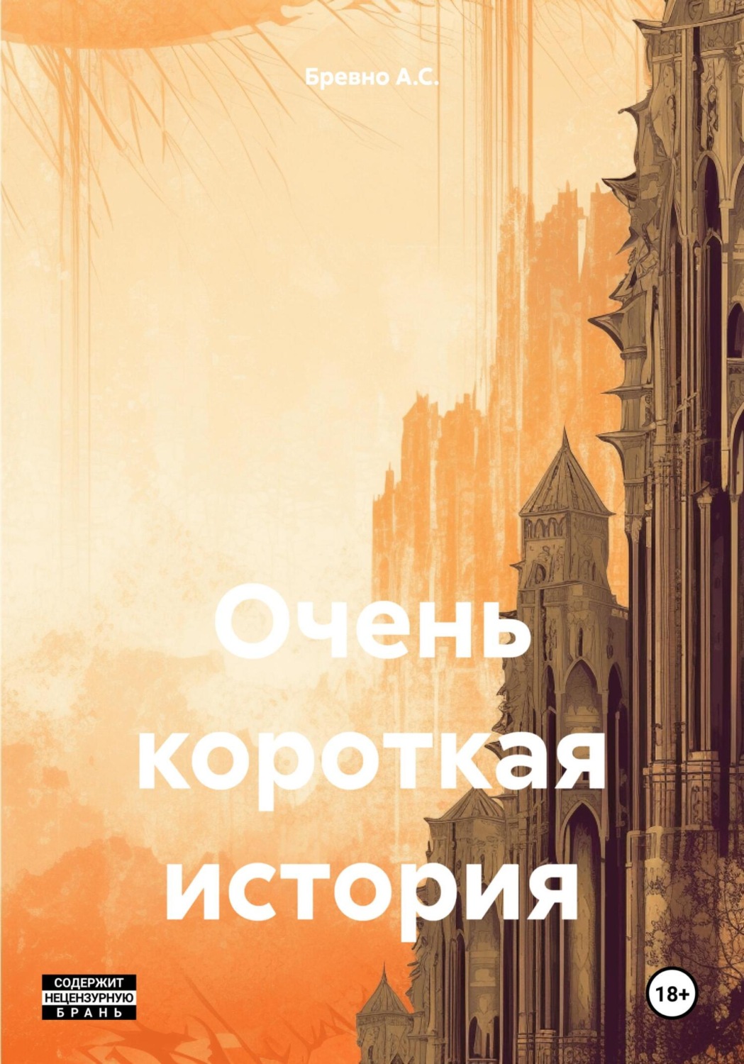 Обложка книги «Очень короткая история»