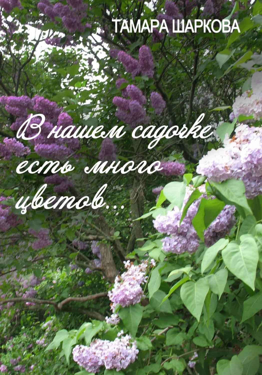 Обложка книги «В нашем садочке есть много цветов»