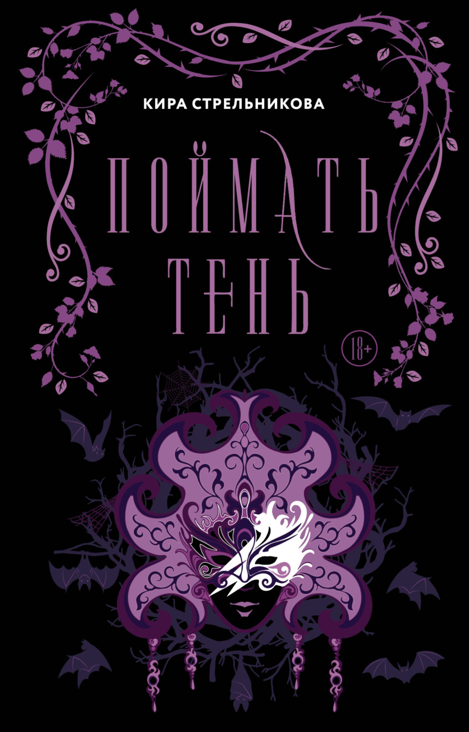 Обложка книги «Поймать Тень»