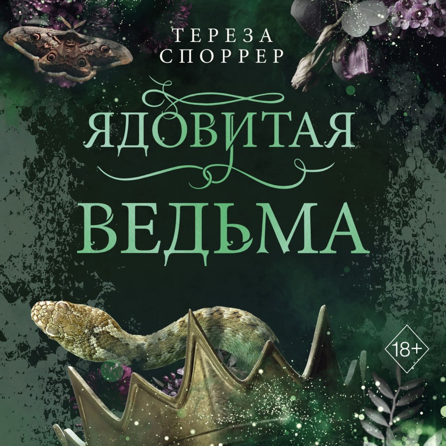 Обложка книги «Ядовитая ведьма»