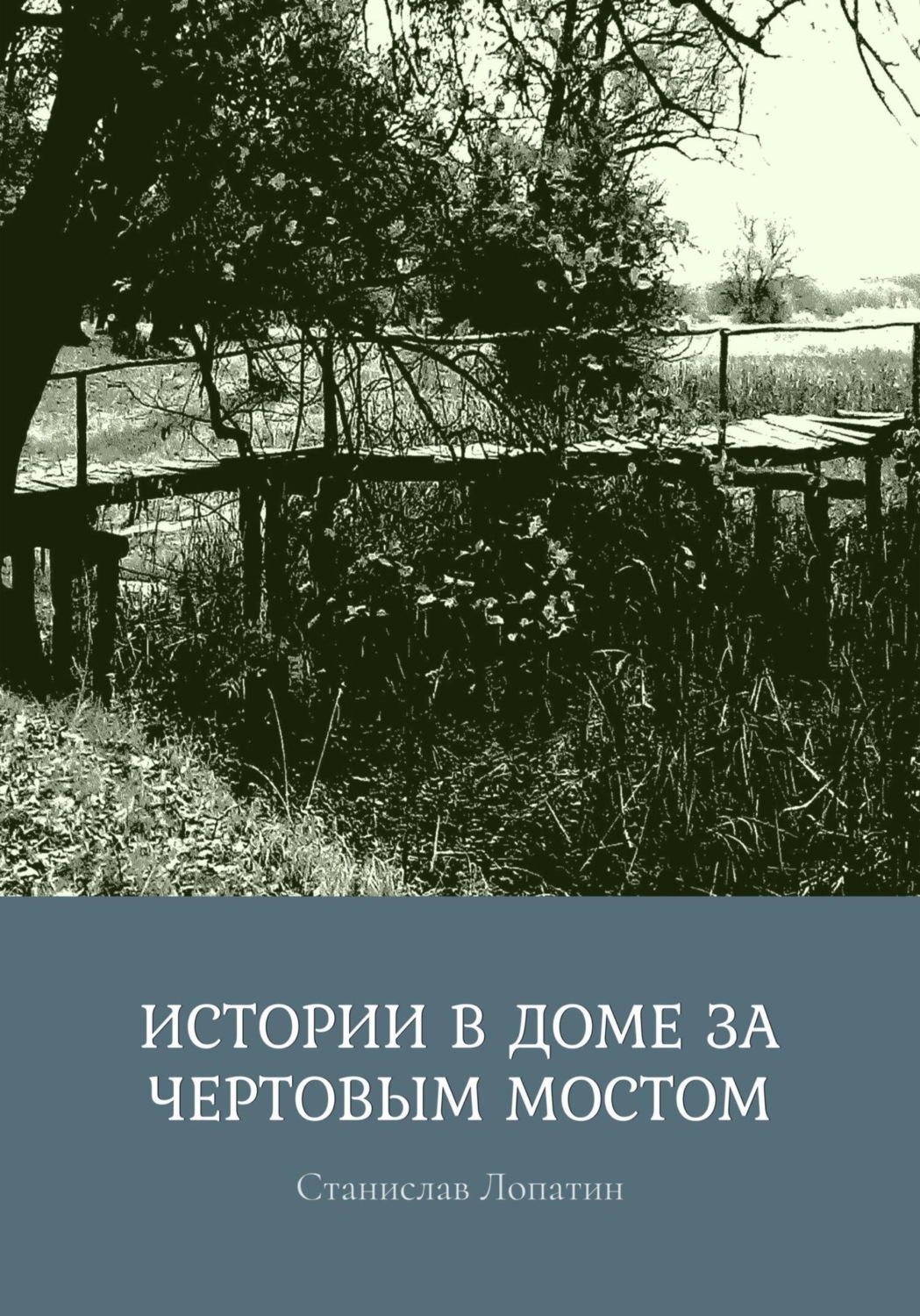 Обложка книги «Истории в доме за Чертовым мостом»