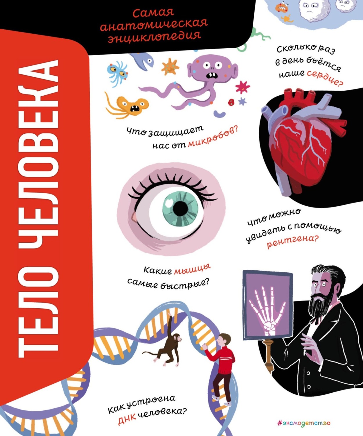 Обложка книги «Тело человека. Самая анатомическая энциклопедия»