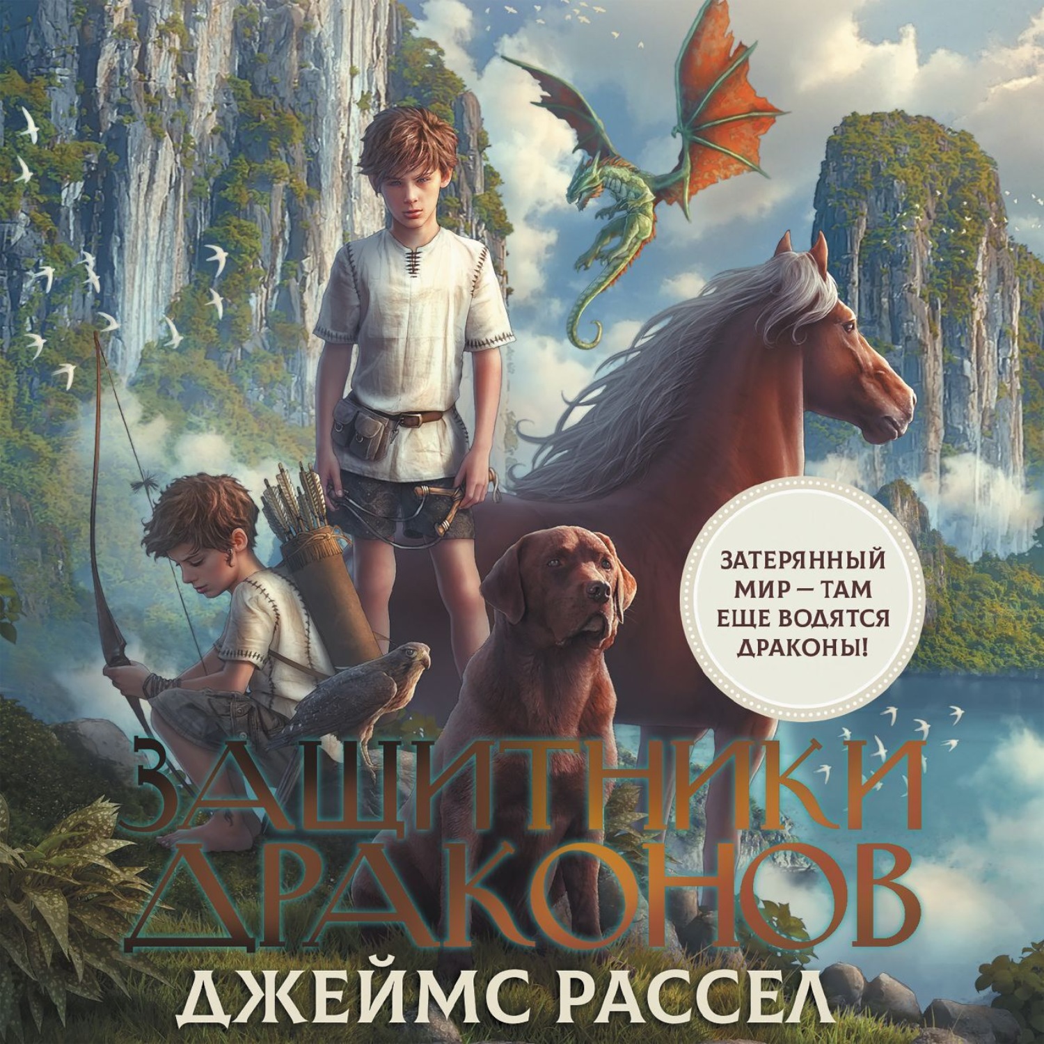 Обложка книги «Защитники драконов»