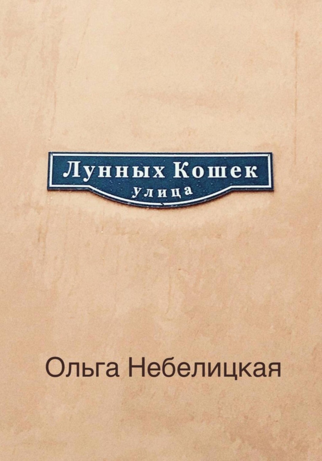 Обложка книги «Улица лунных кошек»
