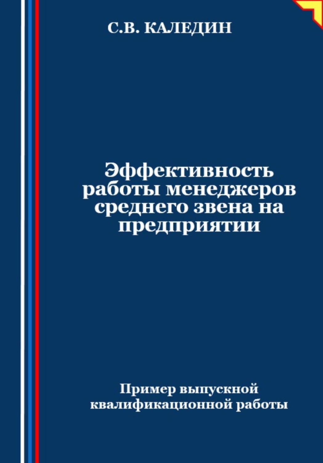 Обложка книги «Эффективность работы менеджеров среднего звена на предприятии»