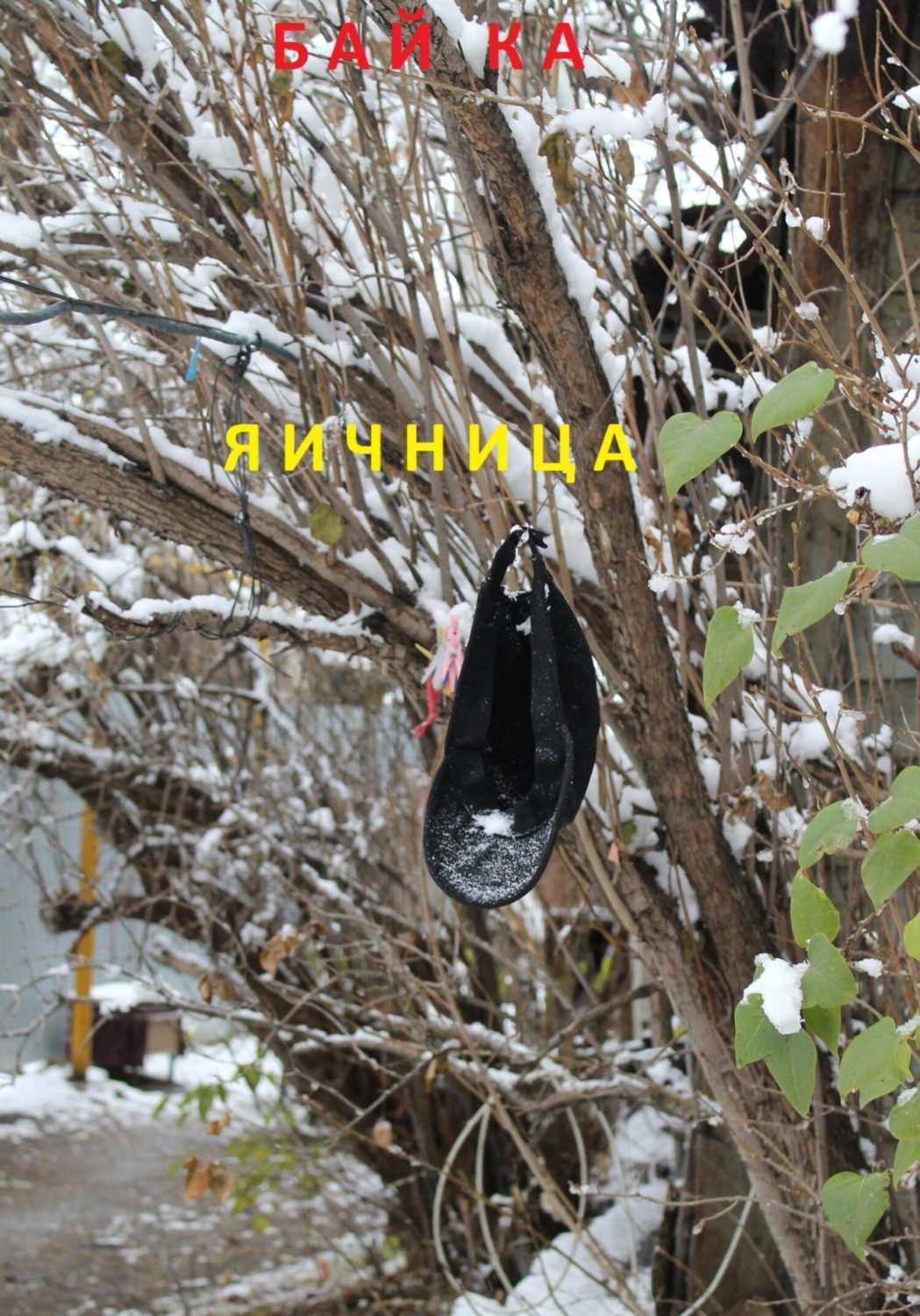Обложка книги «Яичница»