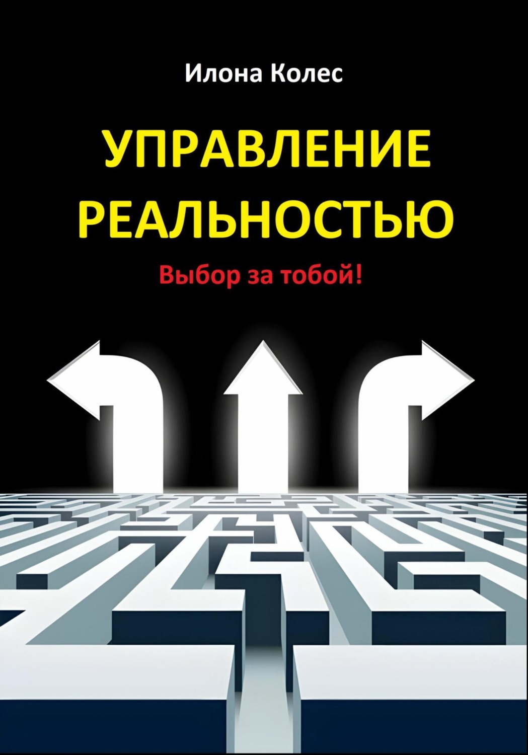 Обложка книги «Управление реальностью. Выбор за тобой!»