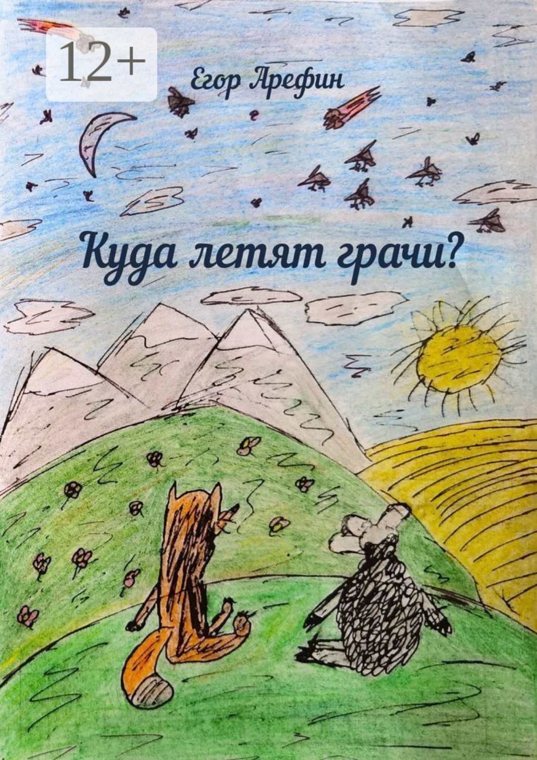 Обложка книги «Куда летят грачи?»