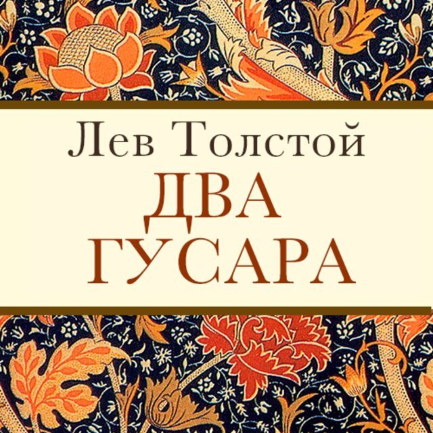 Обложка книги «Два гусара»