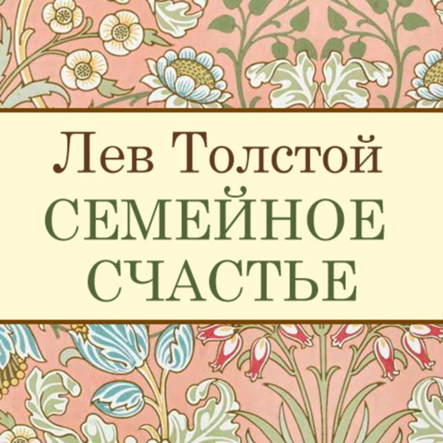Обложка книги «Семейное счастье»