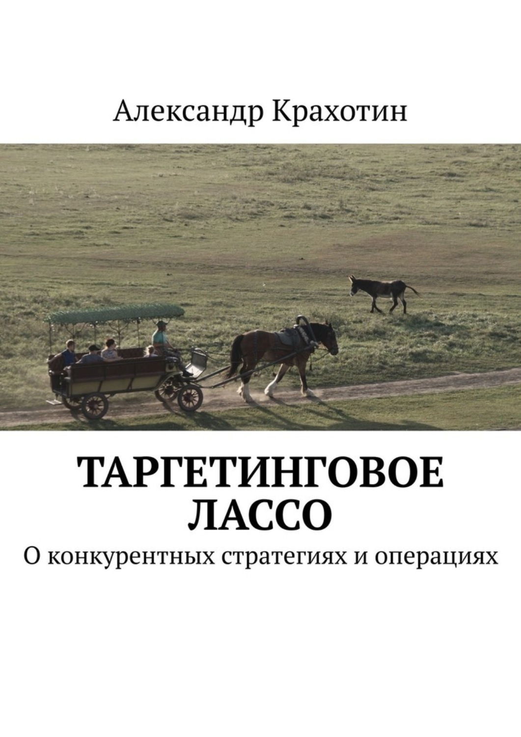 Обложка книги «Таргетинговое лассо. О конкурентных стратегиях и операциях»