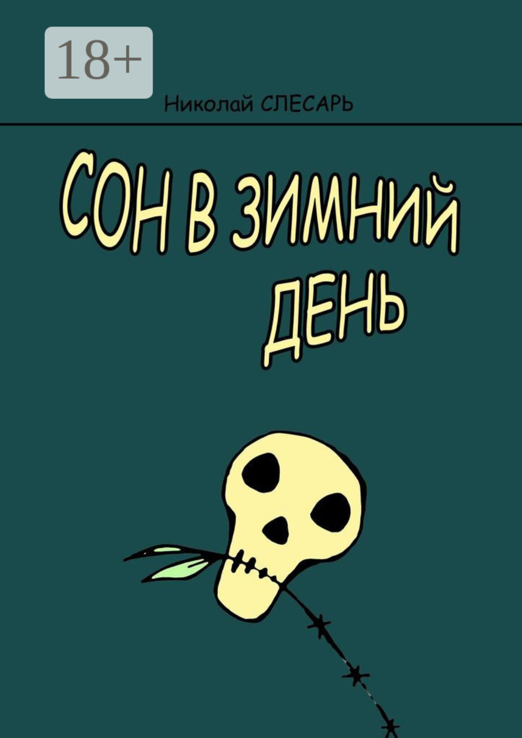 Обложка книги «Сон в зимний день»