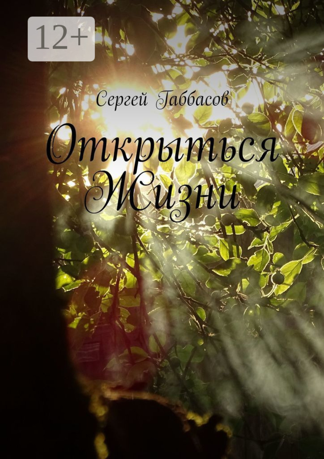 Обложка книги «Открыться Жизни»