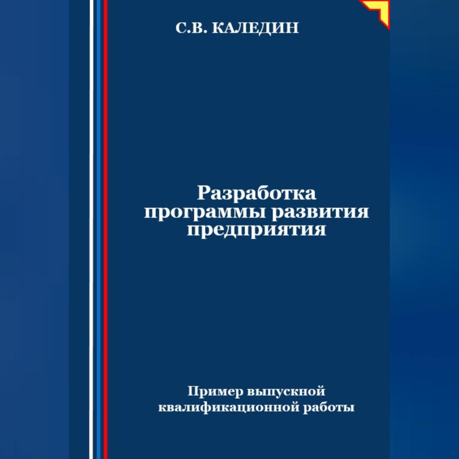 Обложка книги «Разработка программы развития предприятия. Пример выпускной квалификационной работы»