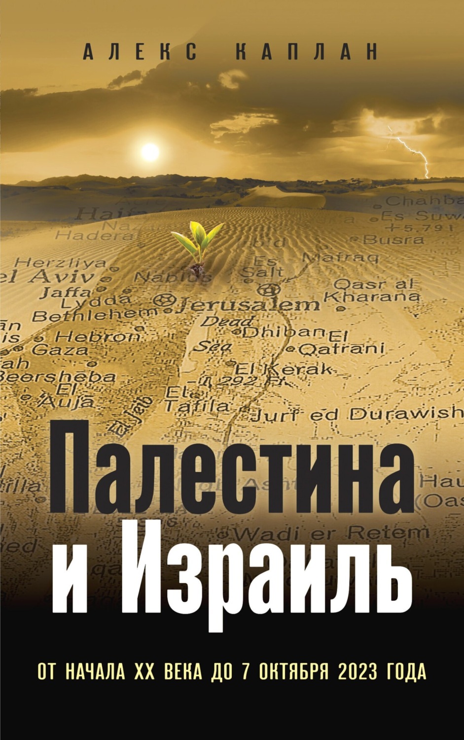 Обложка книги «Палестина и Израиль. От начала XX века до 7 октября 2023 года»