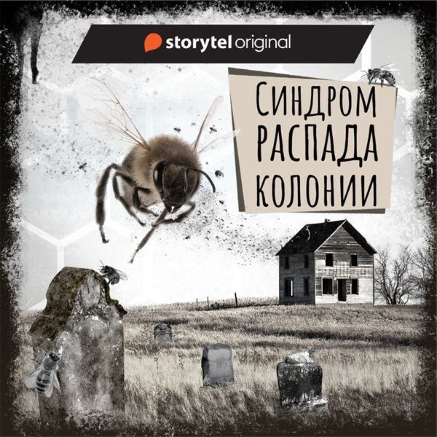 Обложка книги «Если вы слышите эту запись. Синдром распада колонии»
