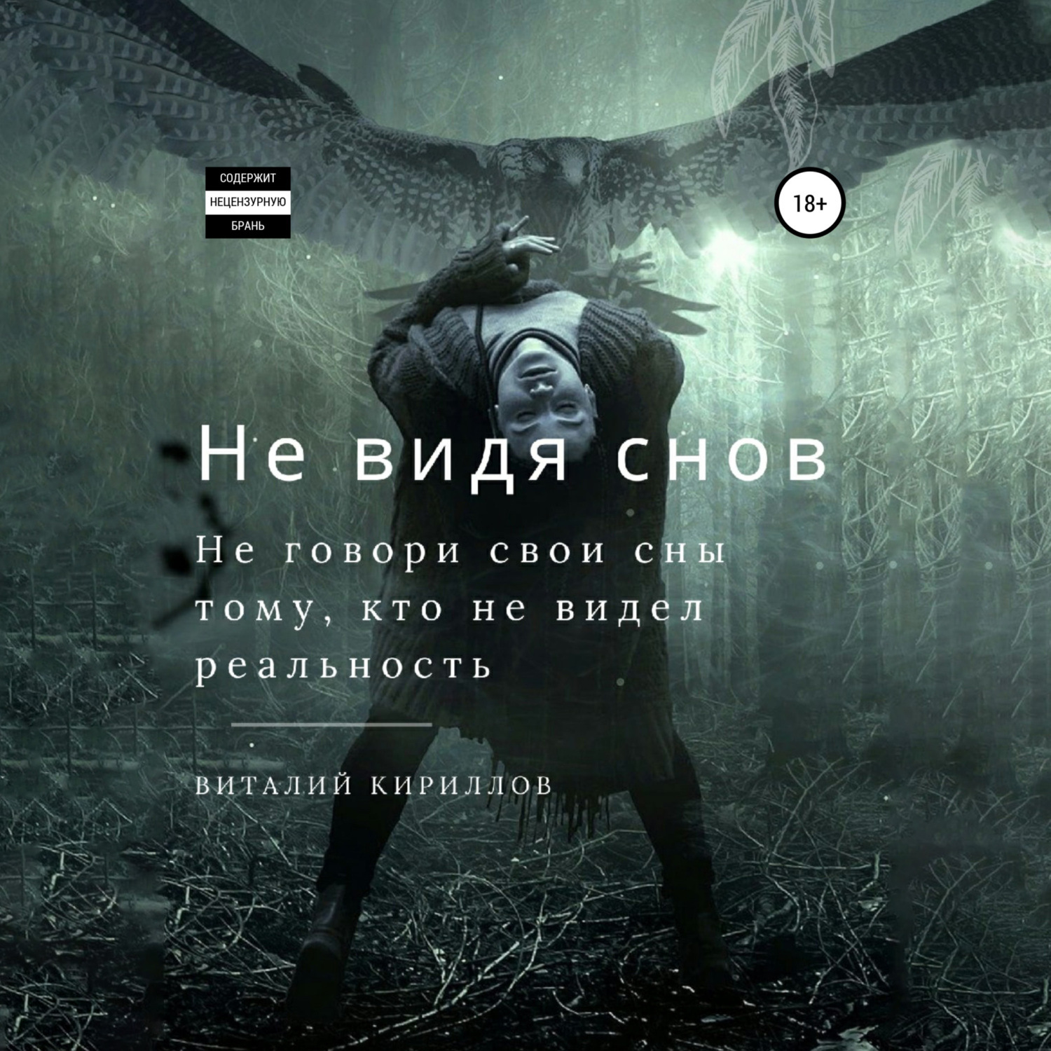 Обложка книги «Не видя снов. Сборник рассказов»