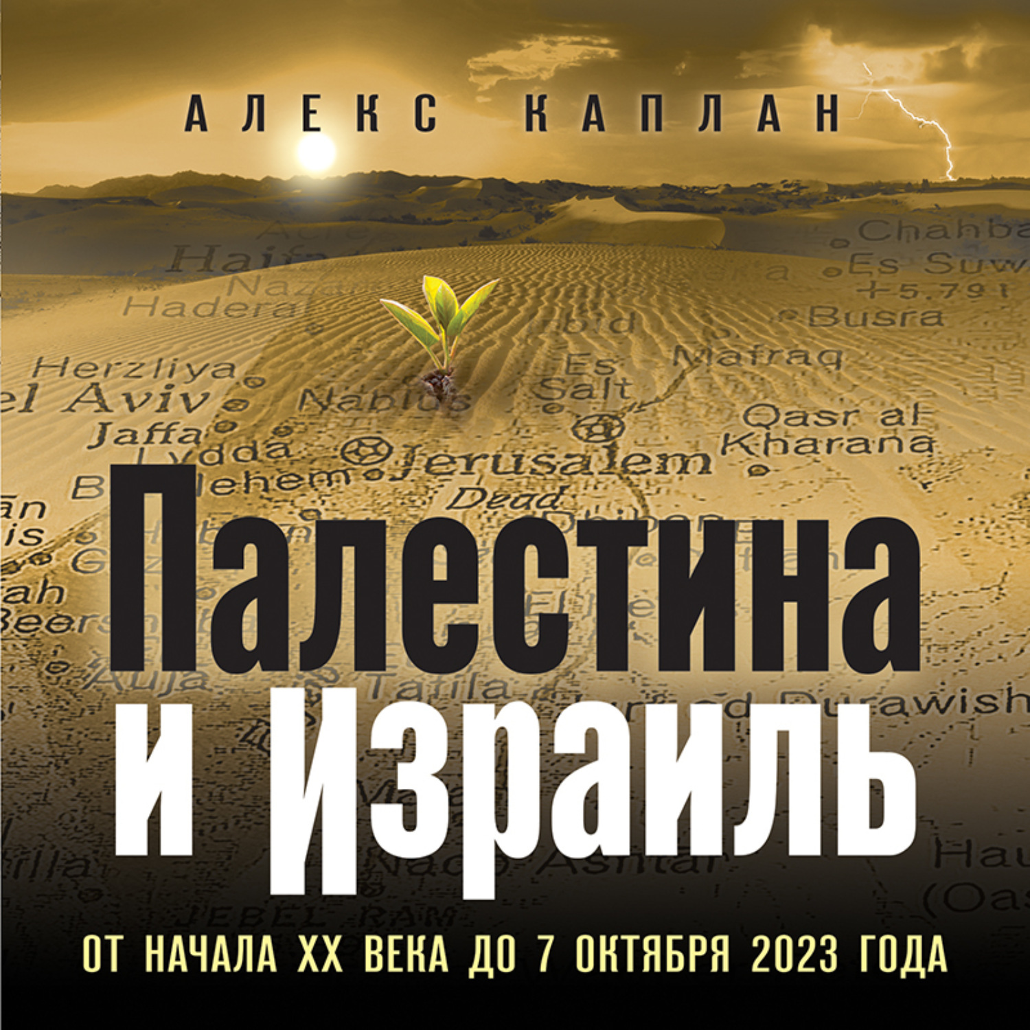 Обложка книги «Палестина и Израиль. От начала XX века до 7 октября 2023 года»