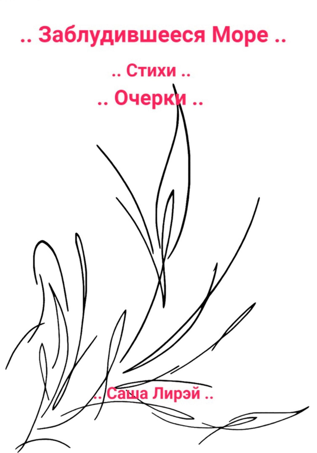 Обложка книги «.. Заблудившееся Море ..»