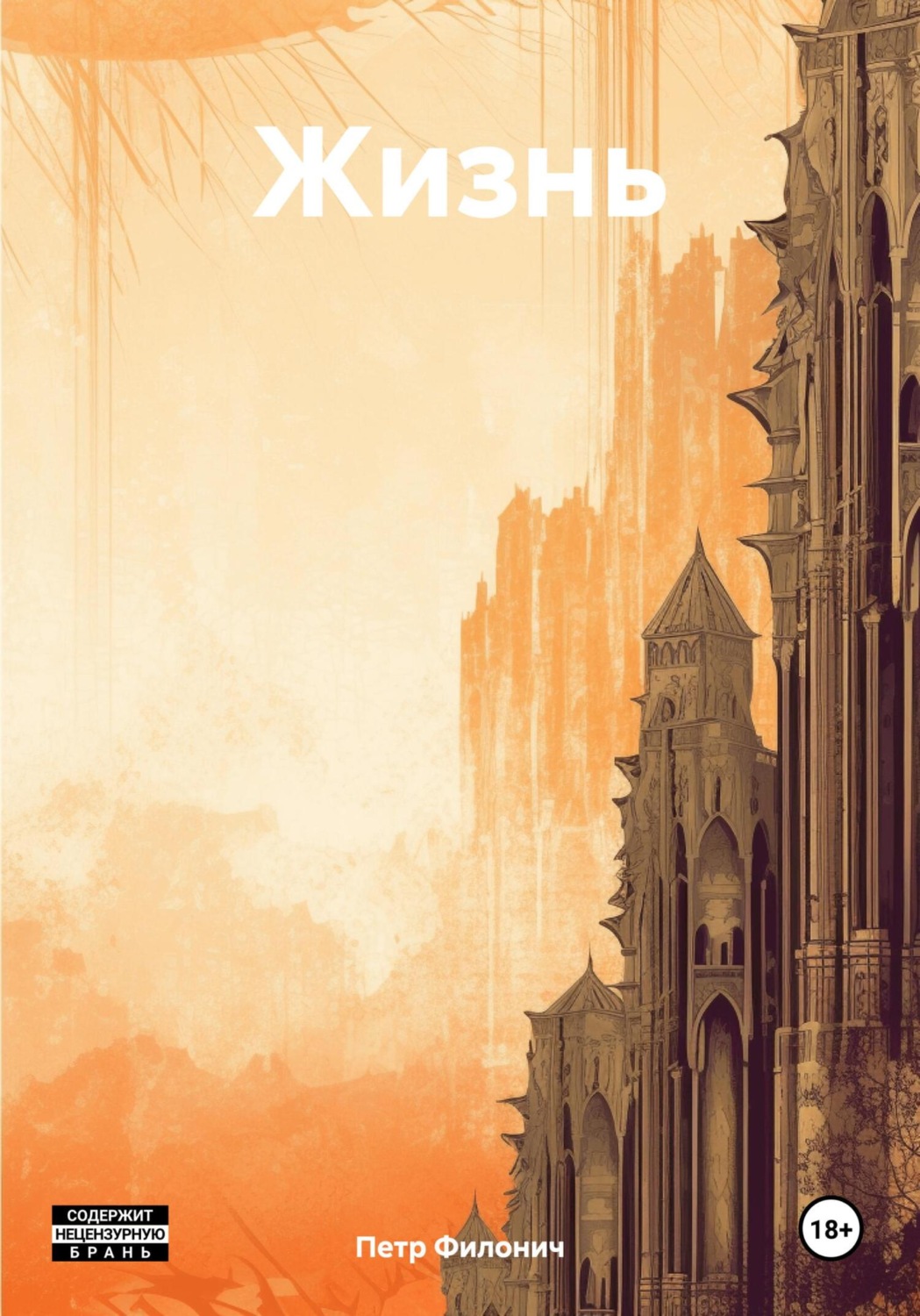 Обложка книги «Жизнь»