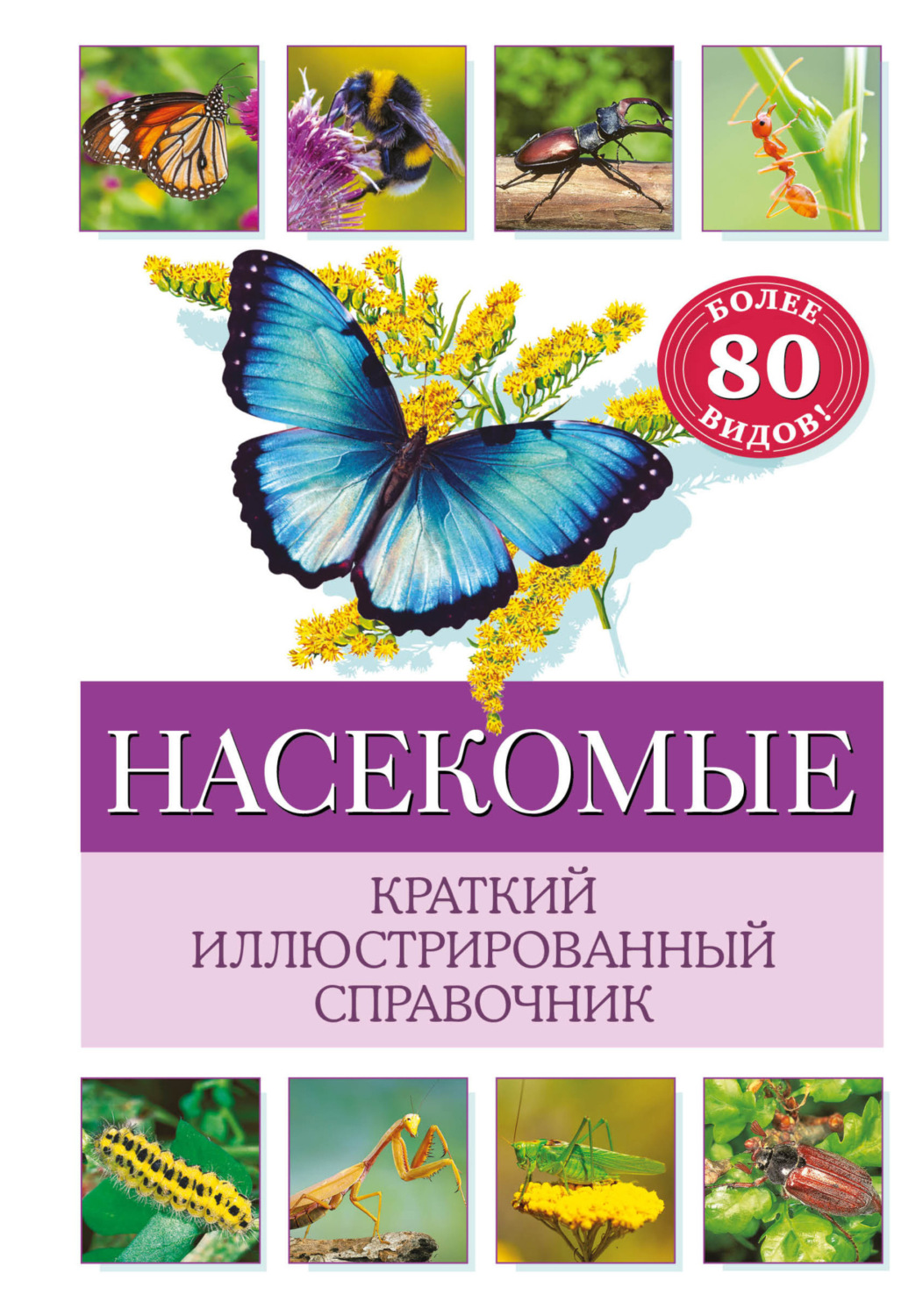Обложка книги «Насекомые. Краткий иллюстрированный справочник»