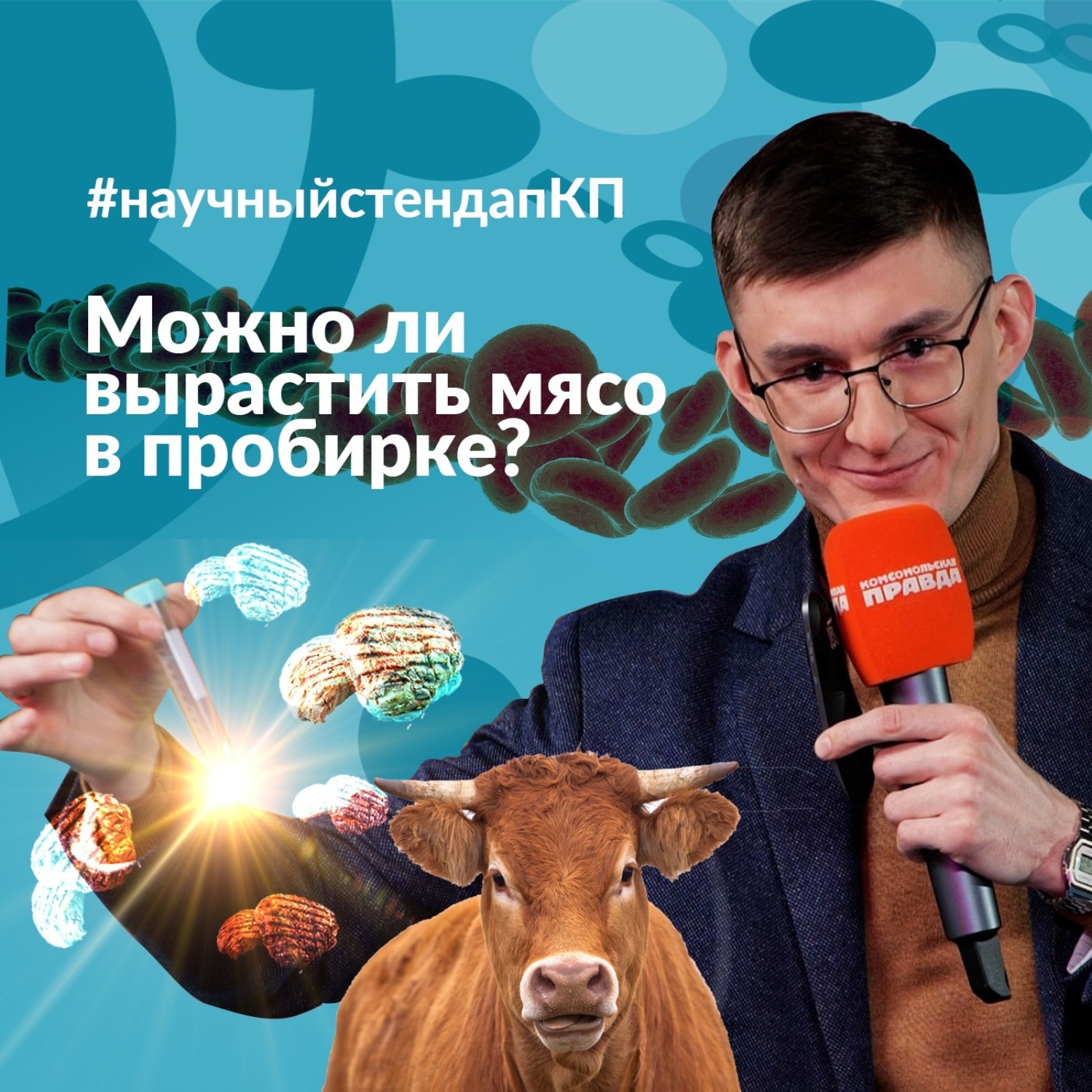 Обложка книги «Можно ли вырастить мясо в пробирке»
