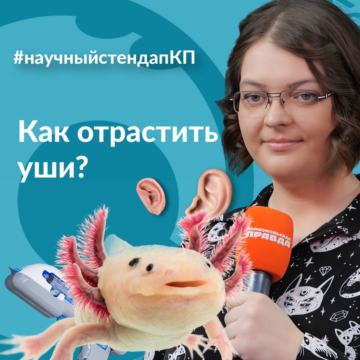 Обложка книги «Как отрастить уши?»