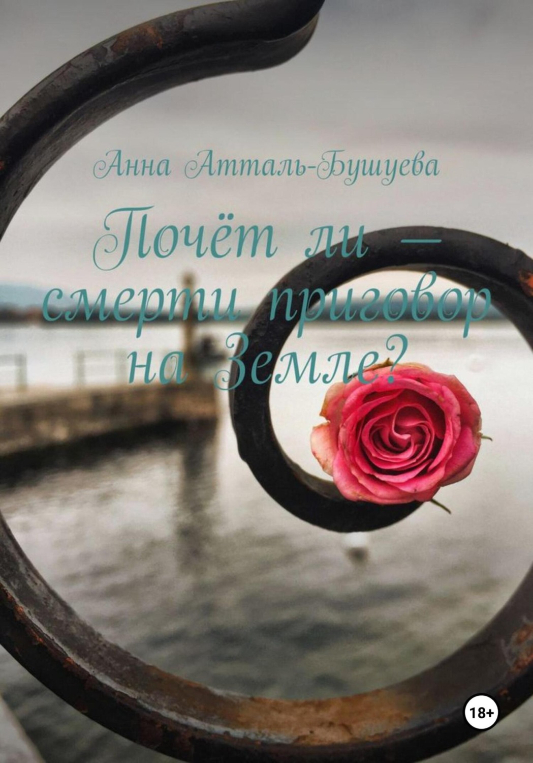 Обложка книги «Почёт ли – смерти приговор на Земле?»