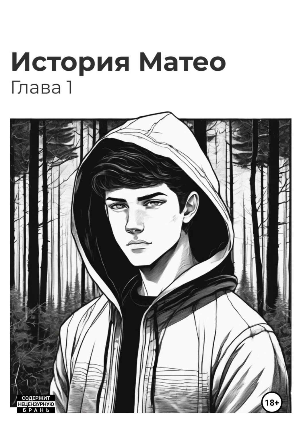 Обложка книги «История Матео. Глава 1»