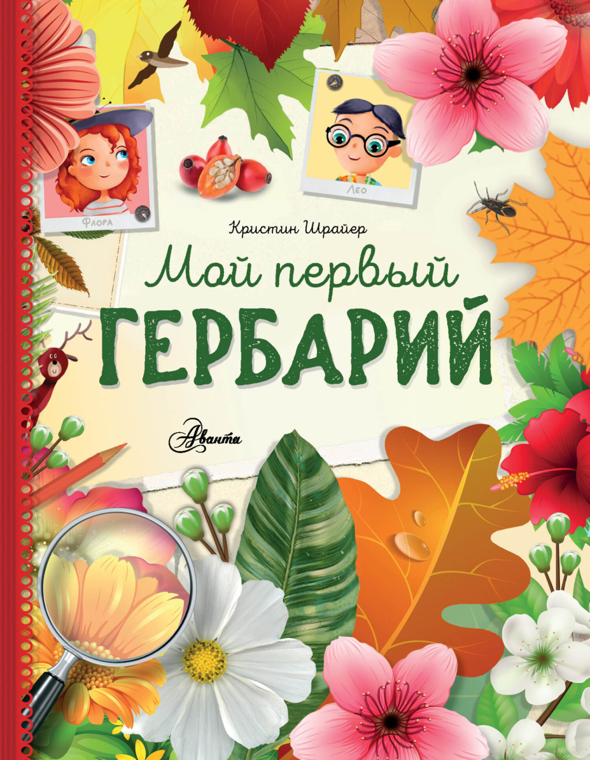 Обложка книги «Мой первый гербарий»