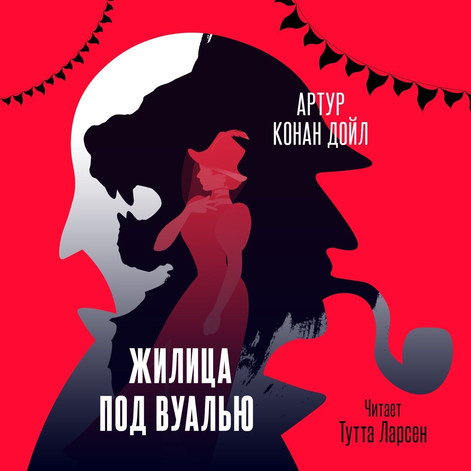 Обложка книги «Жилица под вуалью»
