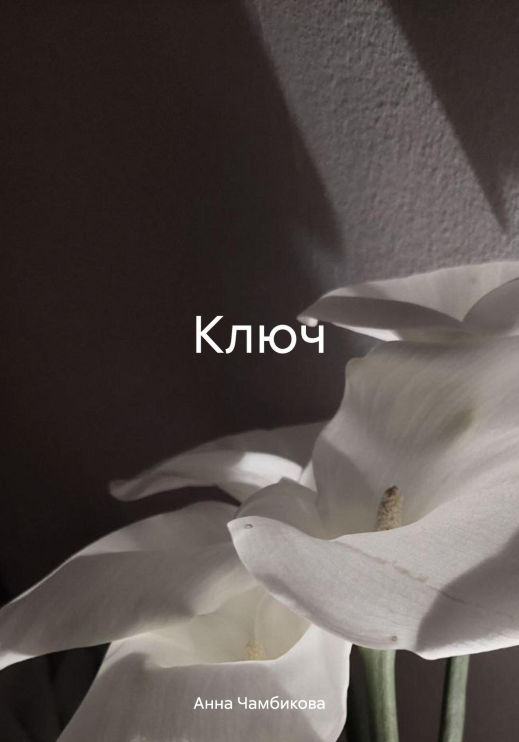 Обложка книги «Ключ»