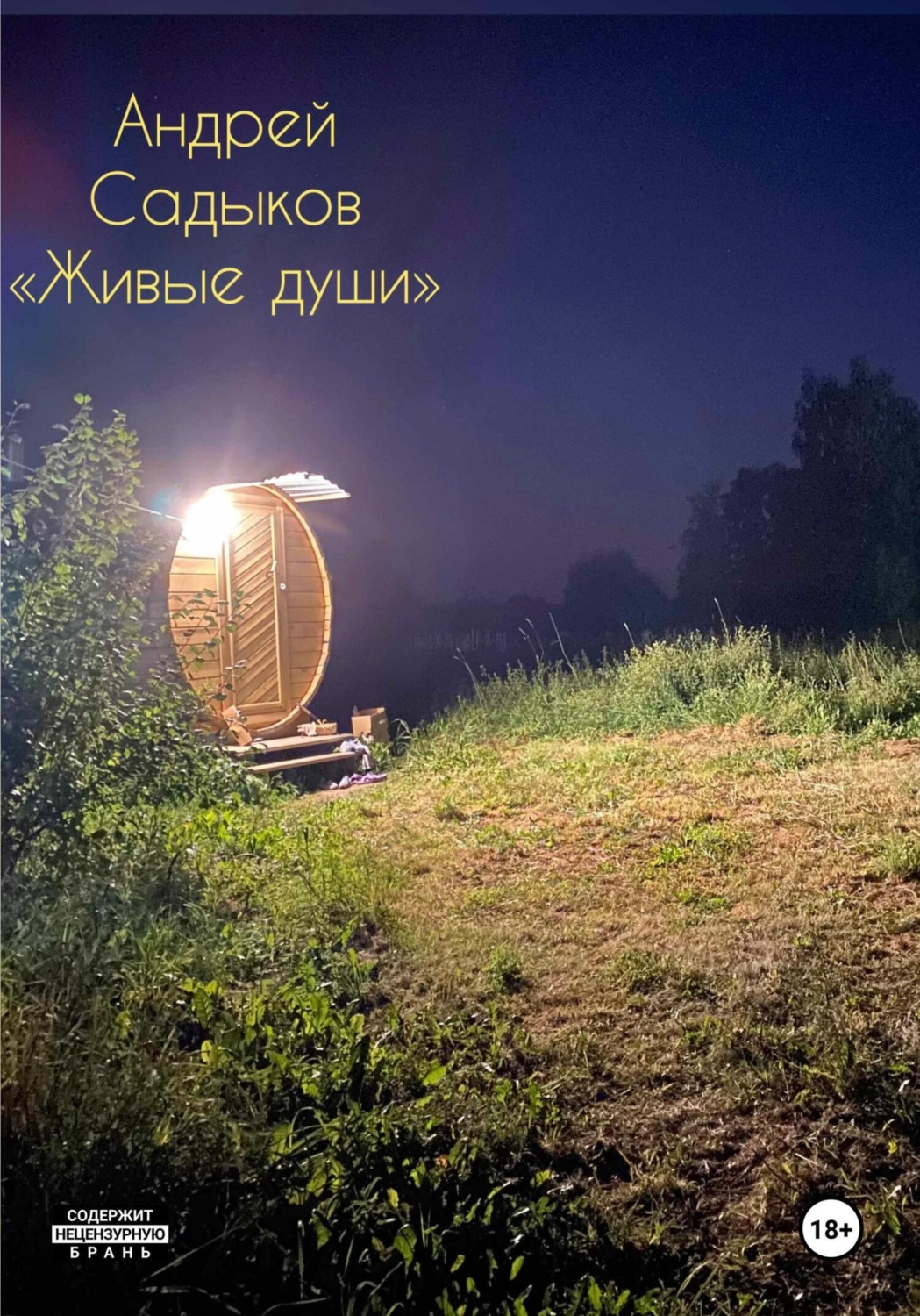 Обложка книги «Живые души»