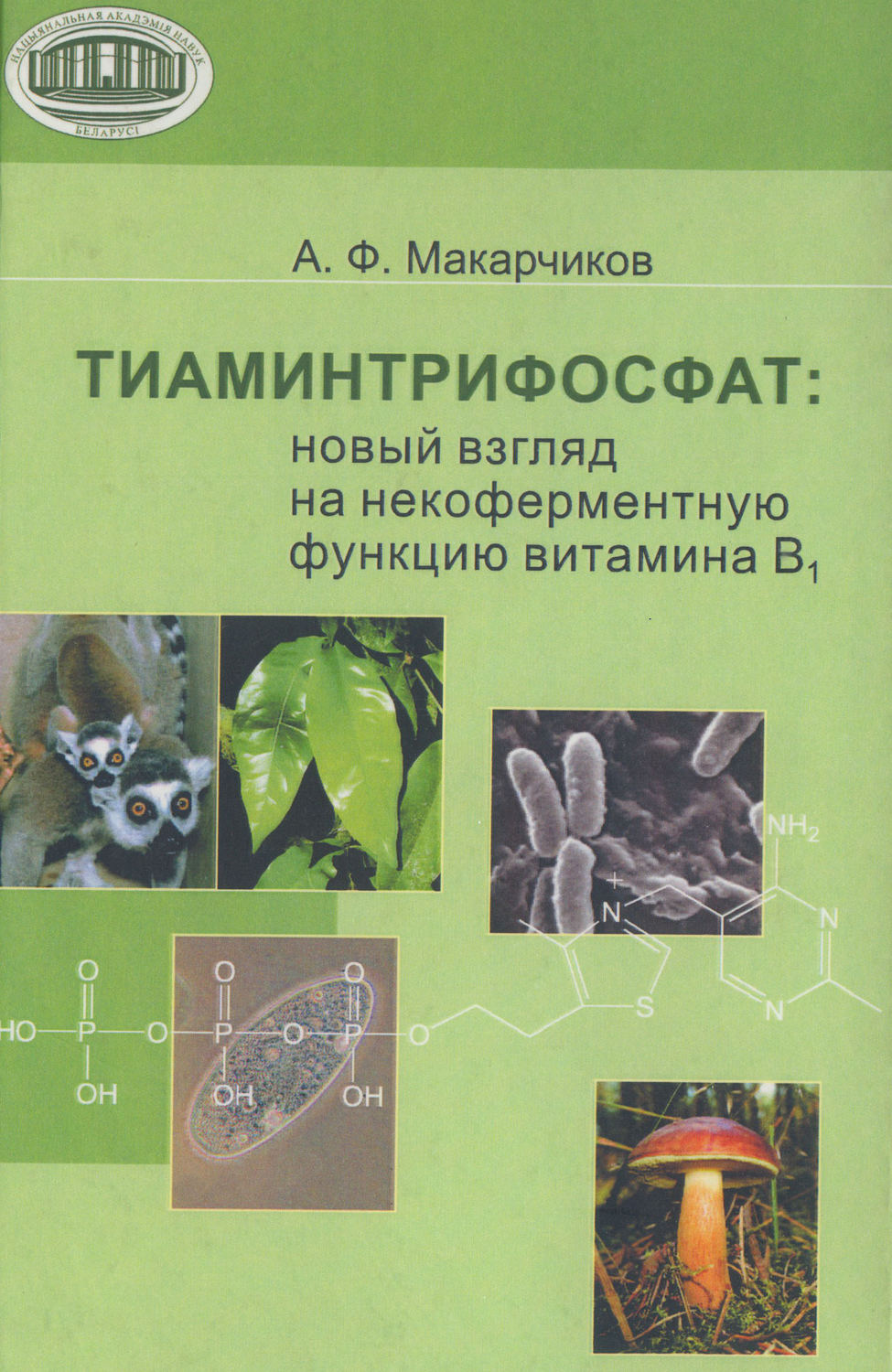 Обложка книги «Тиаминтрифосфат. Новый взгляд на некоферментную функцию витамина В1»