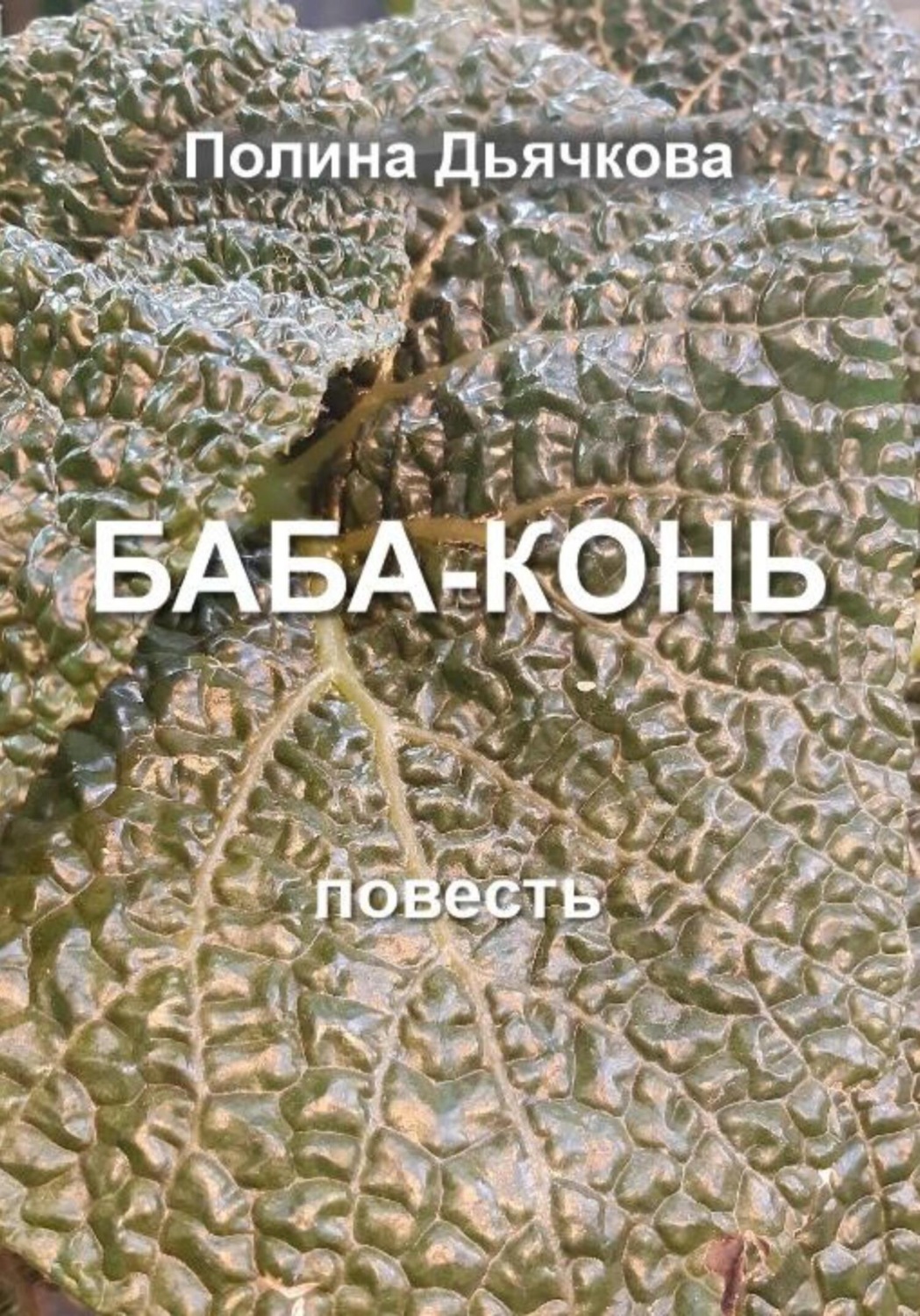 Обложка книги «Баба-конь»