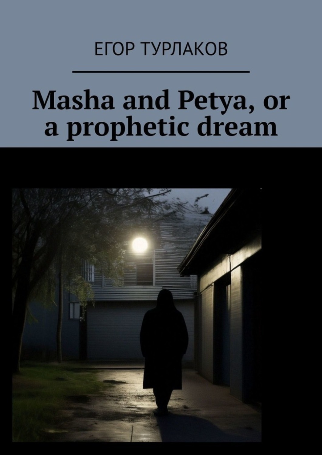 Обложка книги «Masha and Petya, or a prophetic dream. A child detective»