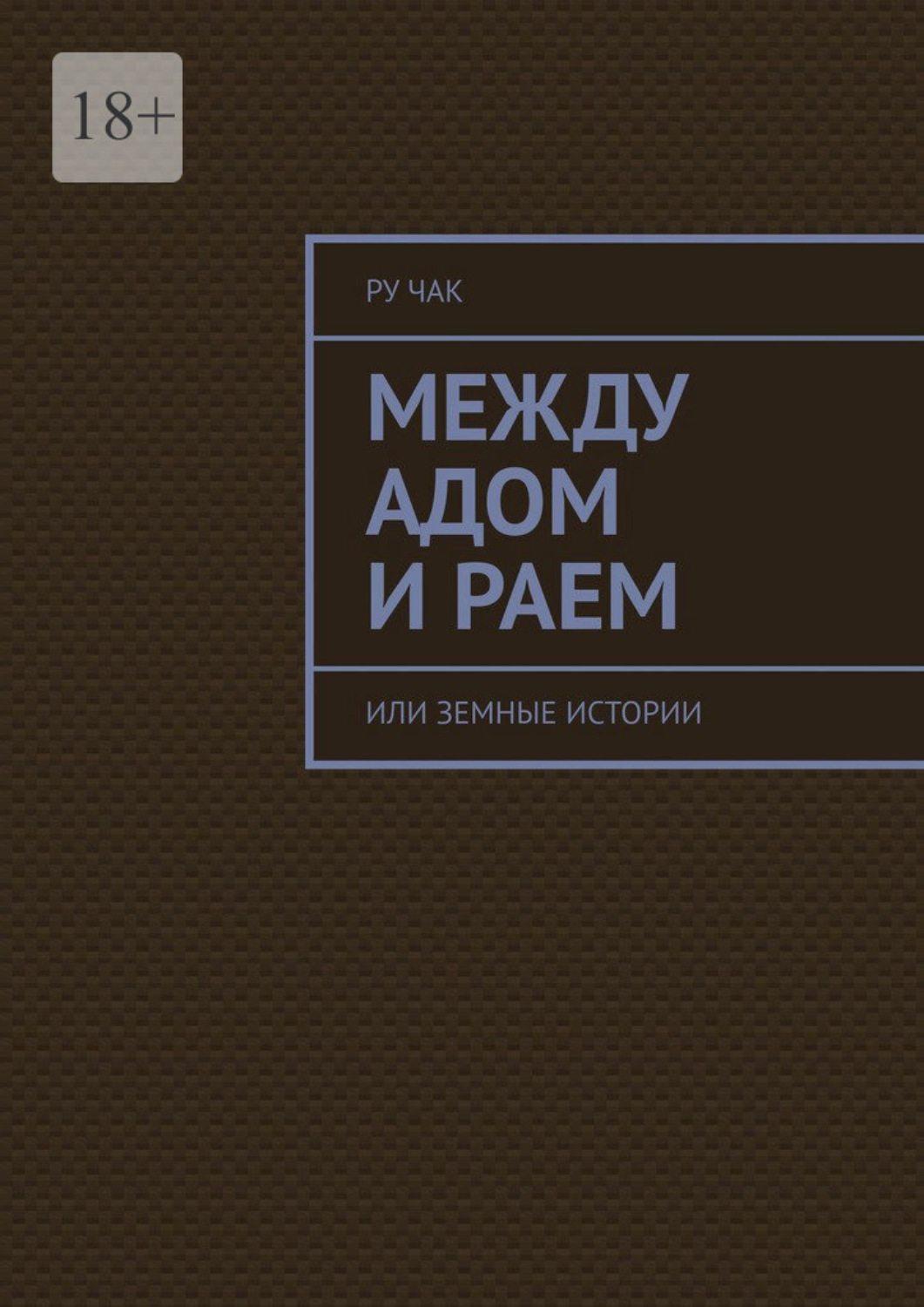 Обложка книги «Между адом и раем. Или земные истории»