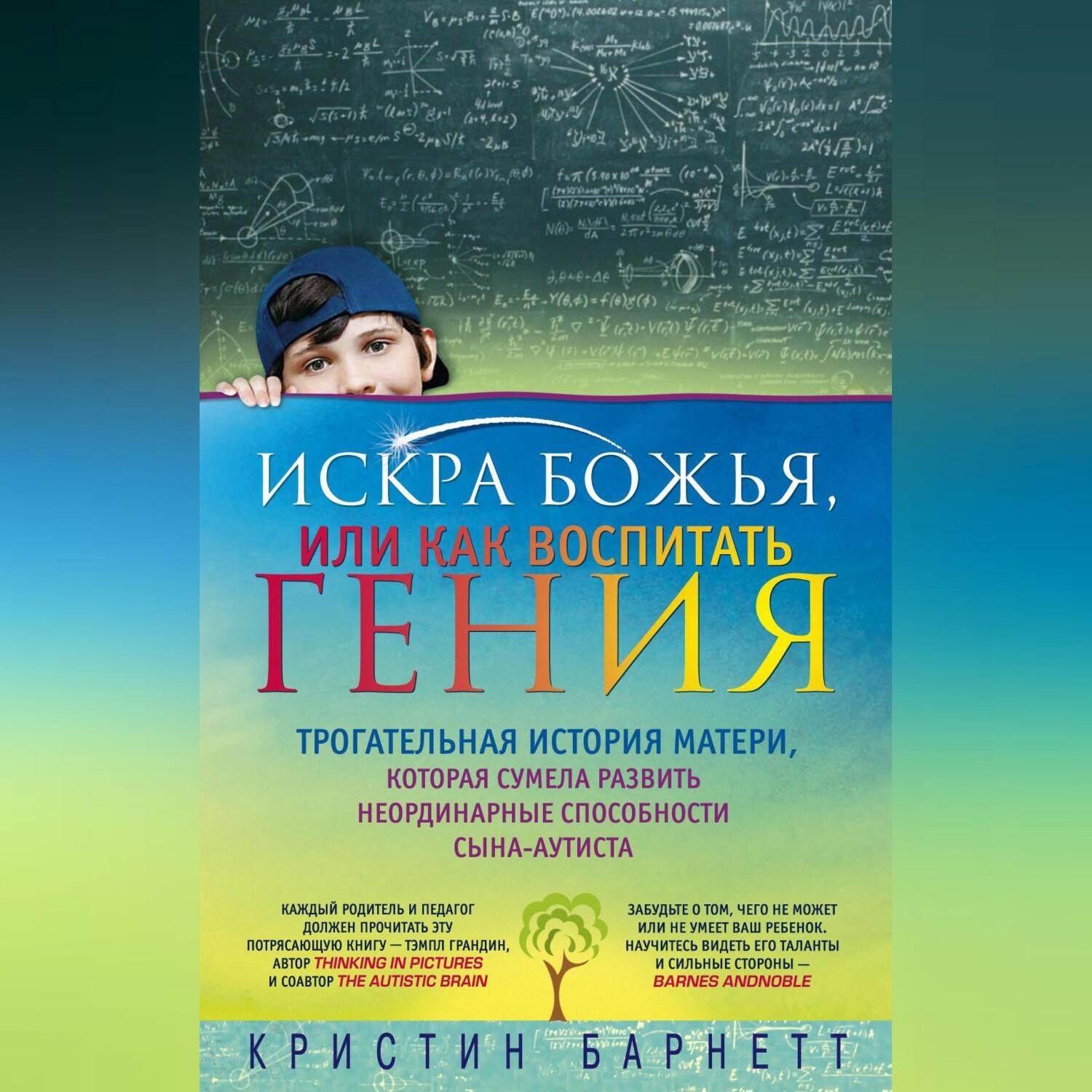Обложка книги «Искра Божья, или Как воспитать гения»
